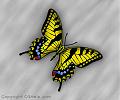 Click image for larger version

Name:	Butterfly Shaded.jpg
Views:	52
Size:	35.5 KB
ID:	3661689